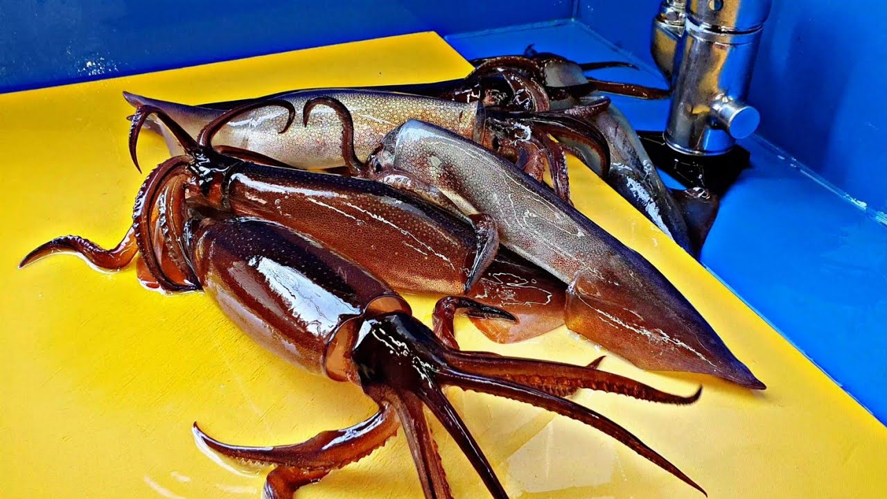 Тема кальмаров, кальмаров сашими, сырые блюда из кальмаров, LiveFishTV