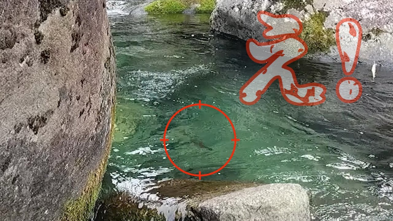 【釣り】足跡だらけの本流に挑む😏 赤鬼ヤマメ出現😀 福岡県 2024#04