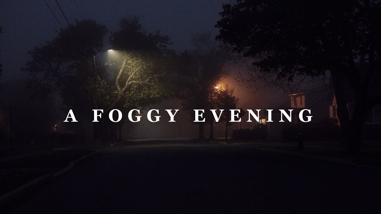 A Foggy Evening | BMMCC Footage