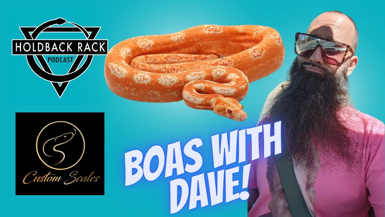 HRP 112 - Talking Boas with Dave Levinson of Custom Scales