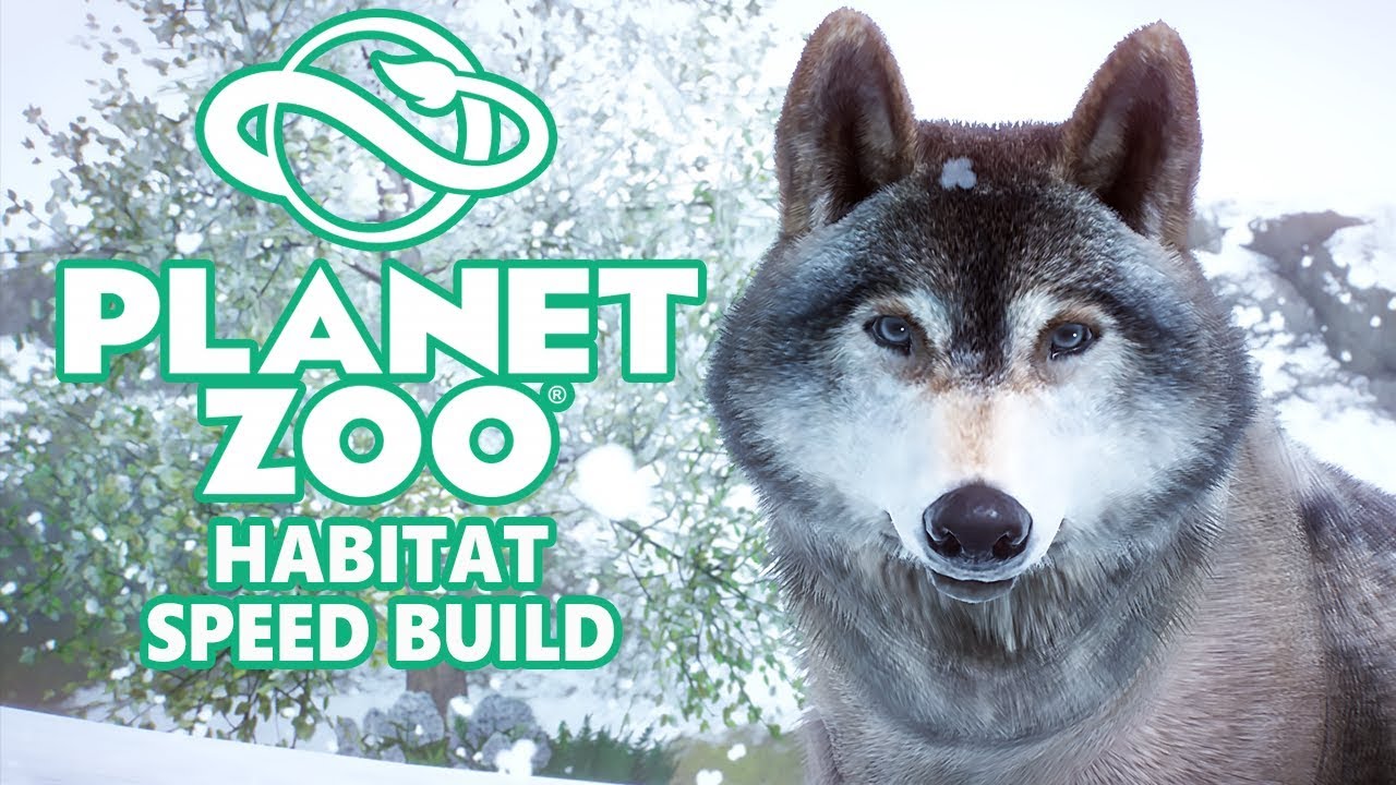 Building a Timber Wolf Habitat | Planet Zoo