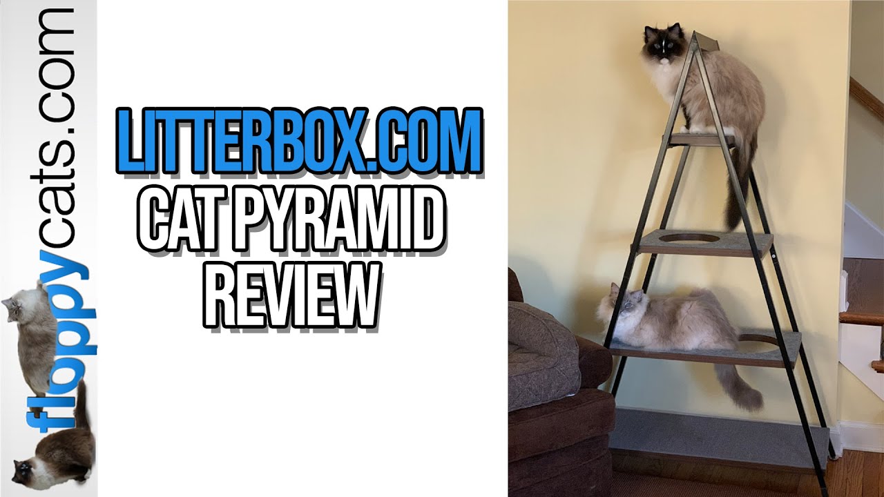 Litterbox.com Cat Pyramid Cat Tree for Large Cats Product Review