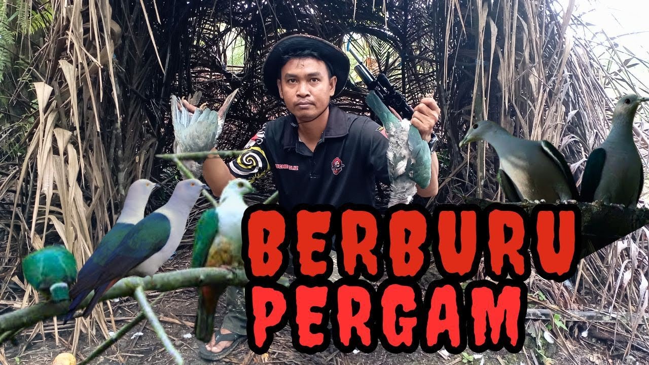 BERBURU PERGAM‼️ADA AJA REJEKI DSPOT PERGAM INI