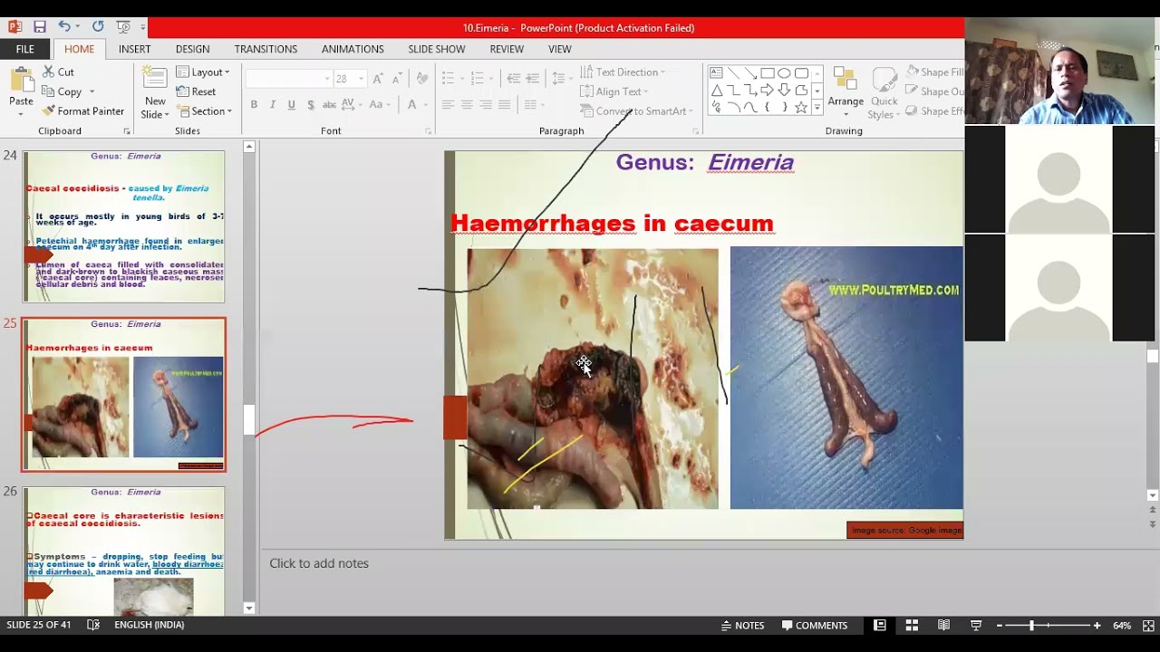 Eimeria by Dr. Ajit Kumar, Dept. of Parasitology, BVC, Patna