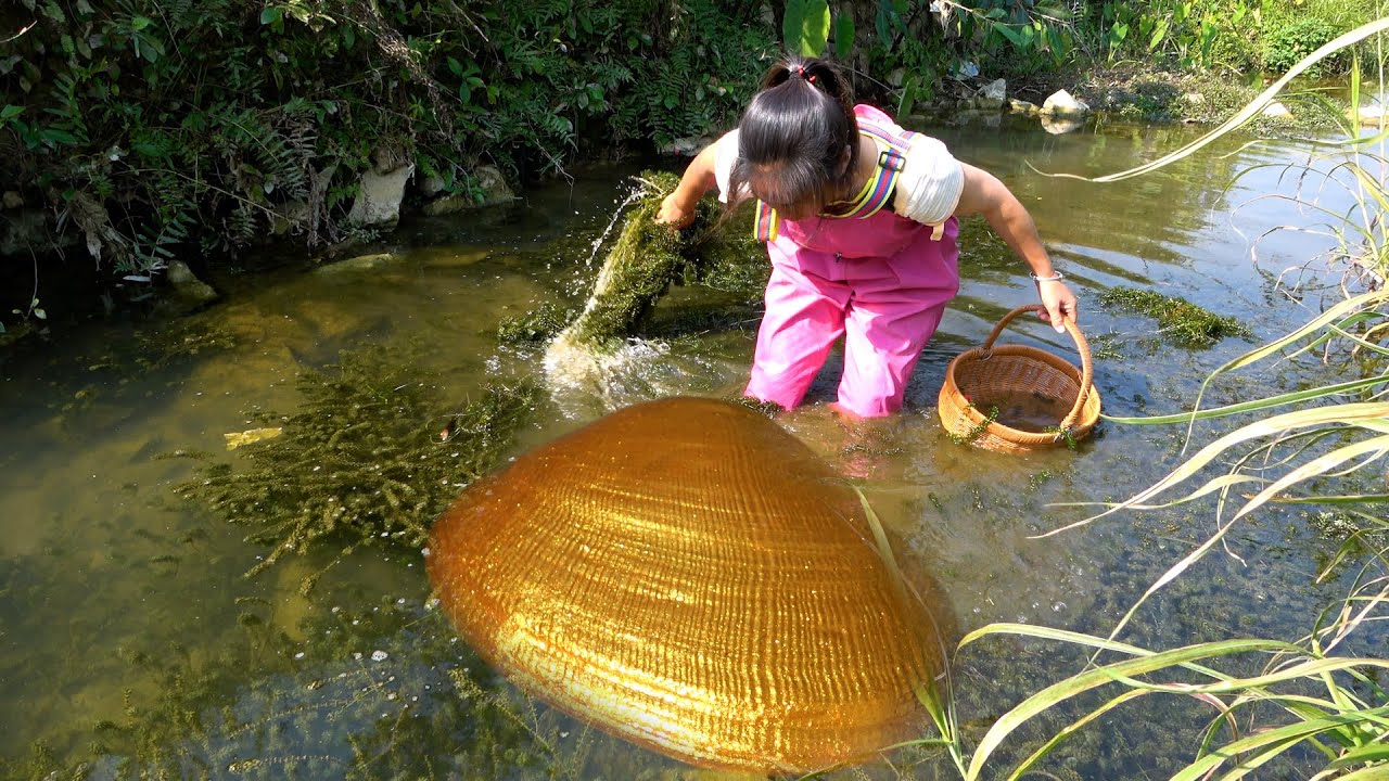 There is a small golden clam in the belly of the river clam, which is full of pearls