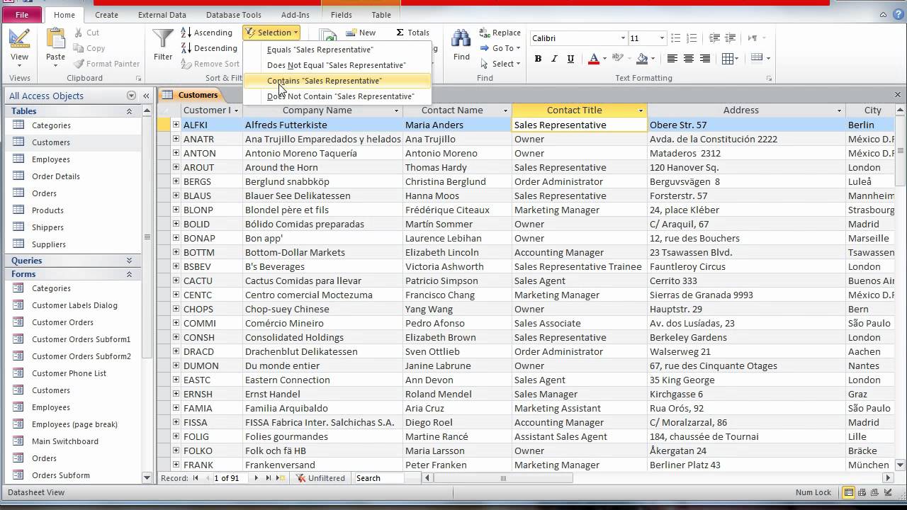 Microsoft Access Filter By Selection with Contains