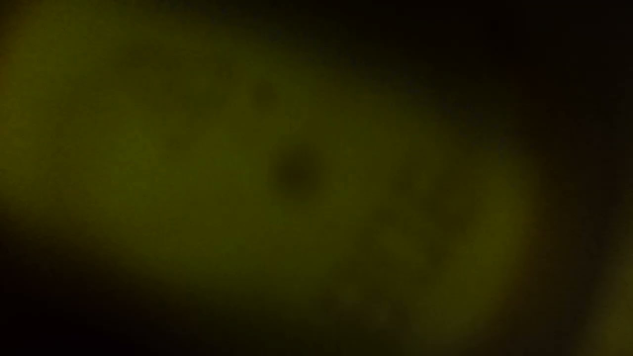 20. 1. 2026. - 3.359 video - Koloběh vody - 20250605 175715