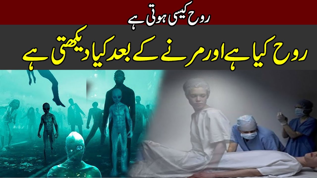 Rouh kia he | Rouh kesi hoti he | Reality of Soul | soul concept in islam | Almutahid islamic