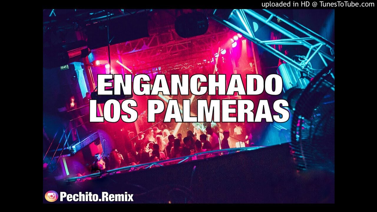 LOS PALMERAS ✘ ENGANCHADO #2 ✘ REMIX FIESTERO ✘ PECHITO REMIX 🌴