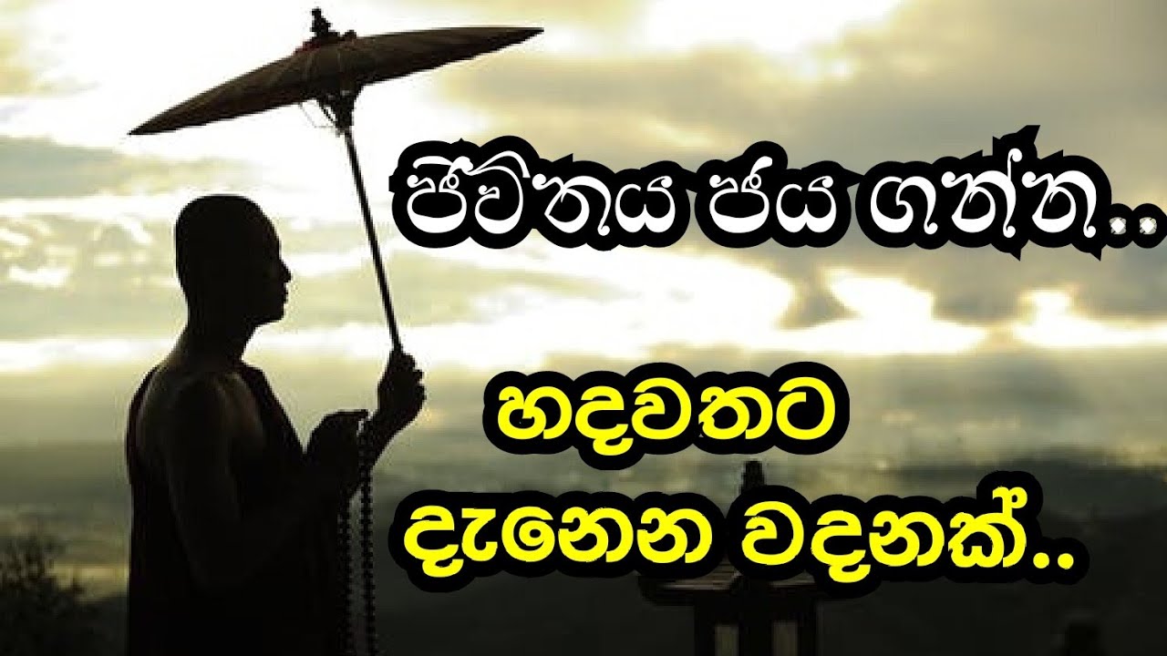 නිසදැස්..nisadas.. ඔබේ ජීවිතේටත් වැදගත් වේවි..