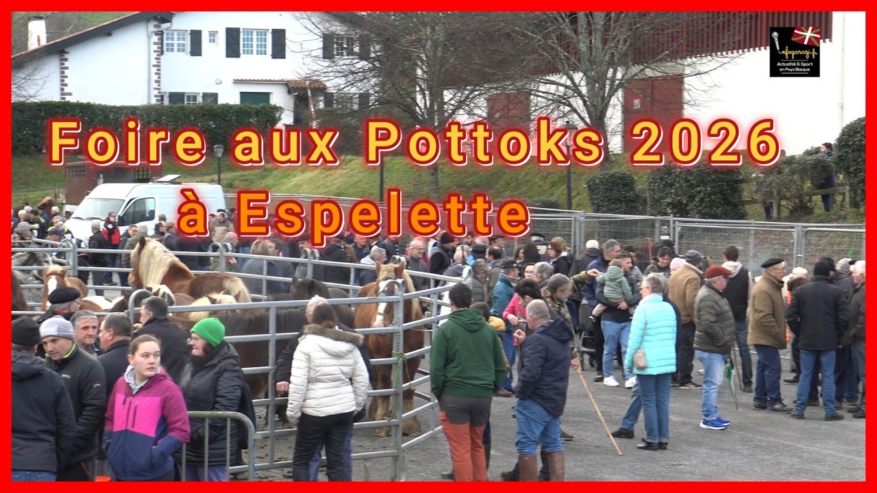 Foire aux Pottoks 2026 à Espelette