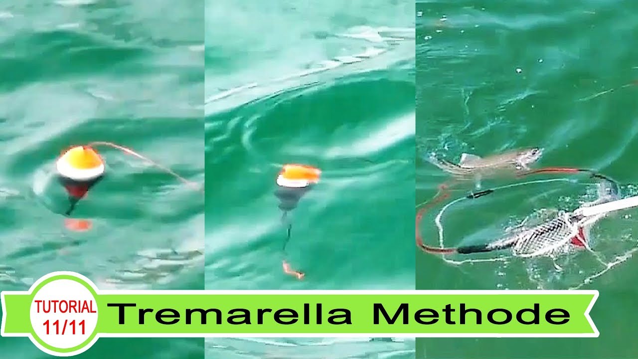 #11 Forellenangeln: Die Tremarella Technik