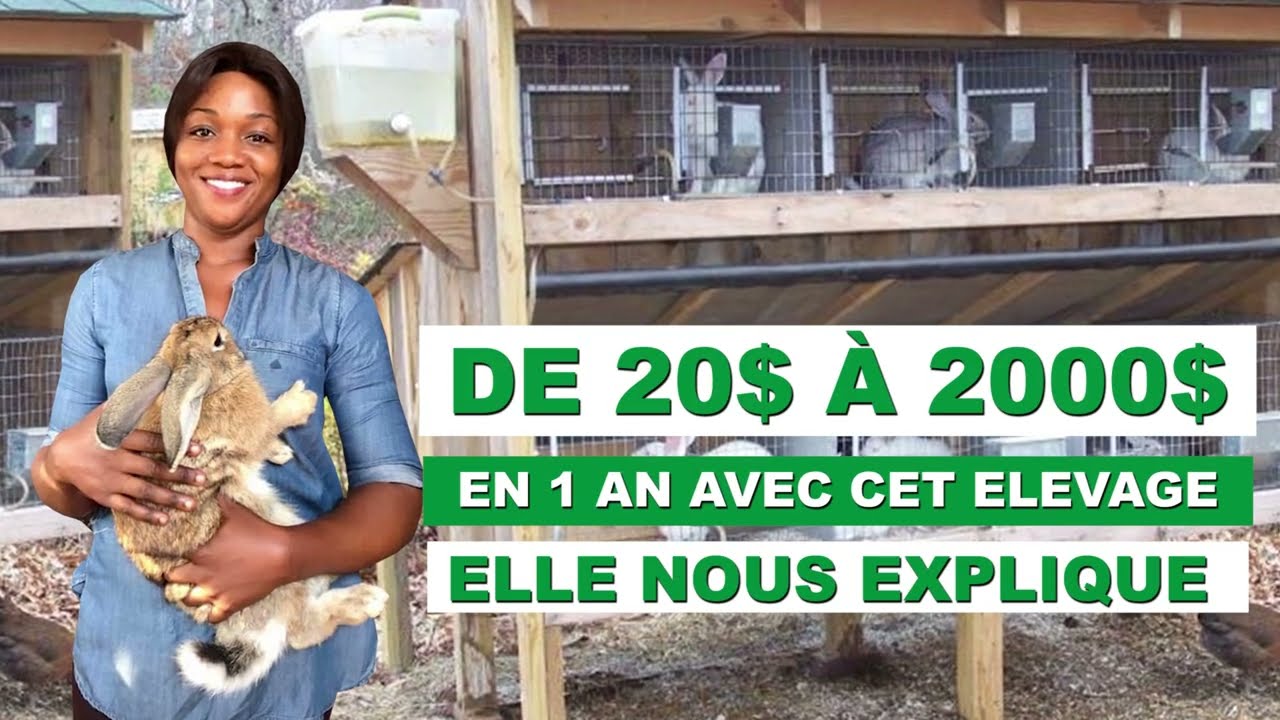 Elle est sur l'autoroute des milliardaires avec la cuniculture