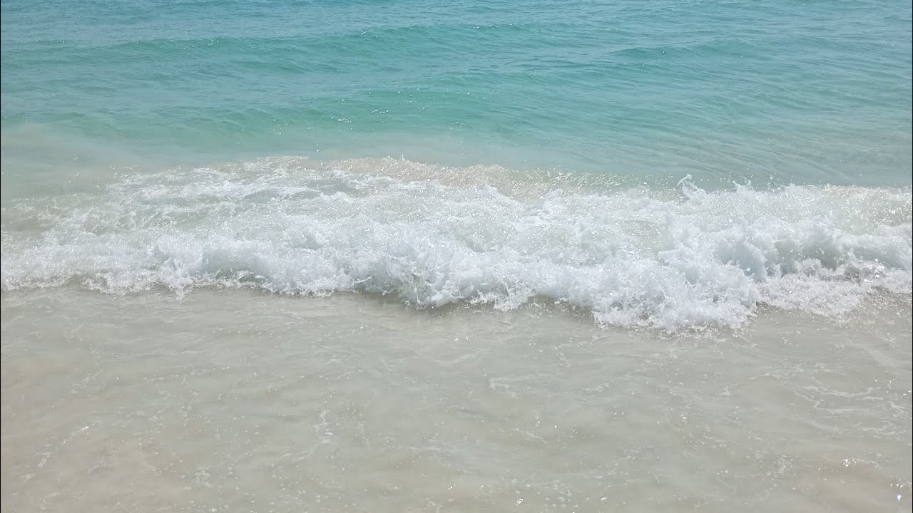 Sea Sound beach walk to relax