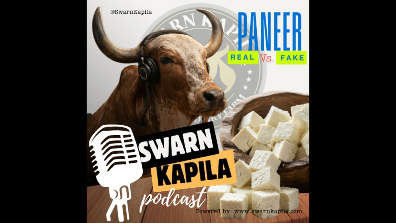 Plastic or Pure? The Dark Truth of Delhi&rsquo;s Paneer (5 Home Tests)