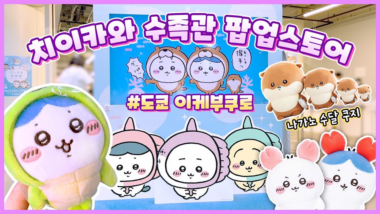🦦나가노 수달을 갖고 싶었던 덕후의 치이카와 수족관 팝업스토어 토벌기🐬 | 나가노마켓 팝업스토어 | 나가노 수달 인형 쿠지 | 치이카와 신상가챠 | 치이카와 브이로그 | 한일커플