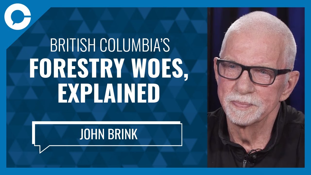 British Columbia’s Forestry Woes, Explained (w/ John Brink, Brink Group)