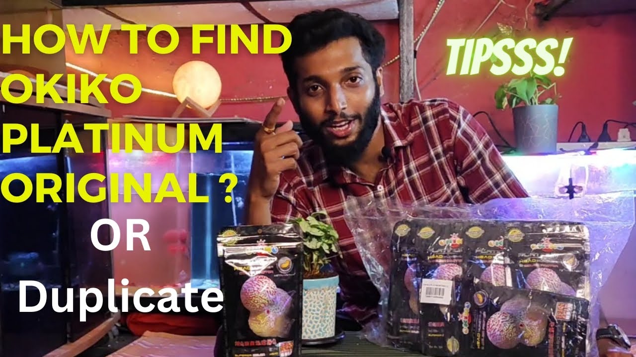 How to Check OKIKO Platinum Original or Duplicate? #okiko #flowerhorn #fishfood #Okikoplatinum