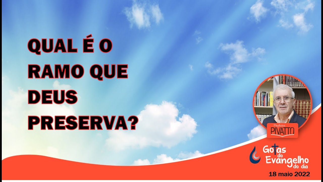 Qual &eacute; o ramo que Deus Preserva? - Professor Pivatto
