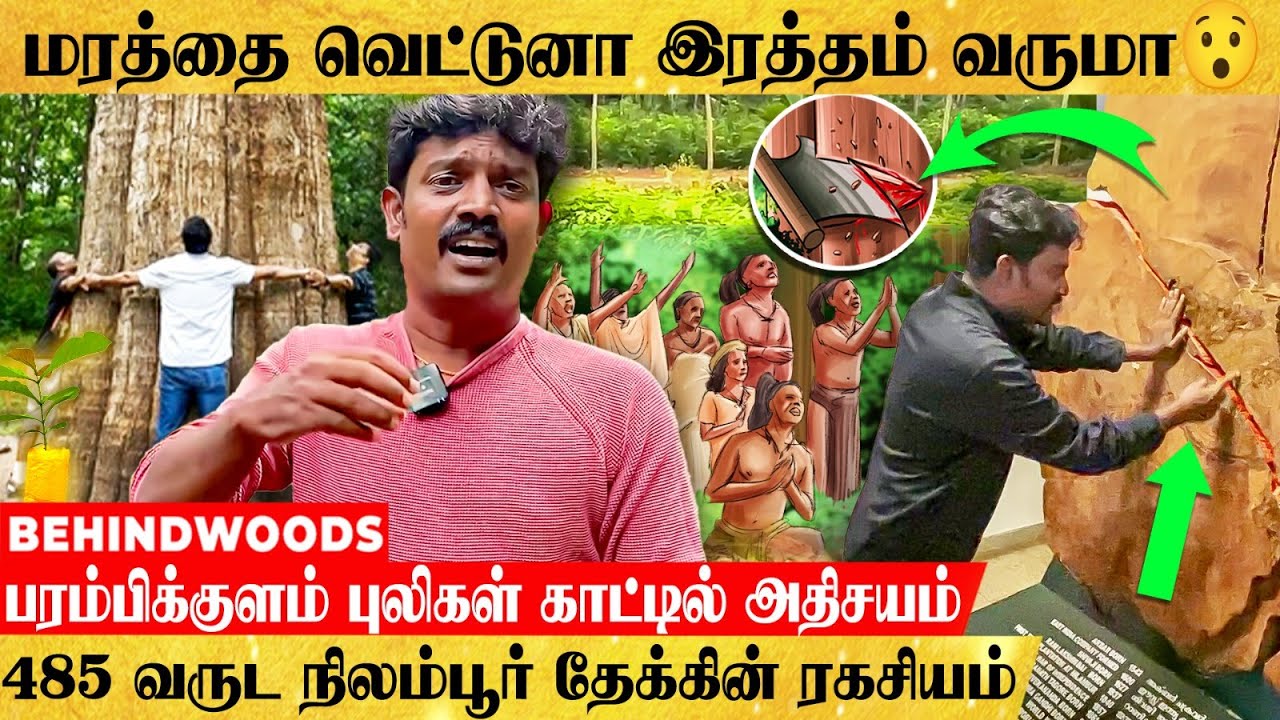 இந்திய வரலாற்றை தாங்கி நிற்கும் அதிசய மரம்🌴 விதைகளைத் தேடும் TIMBERMAN செல்வா பேட்டி