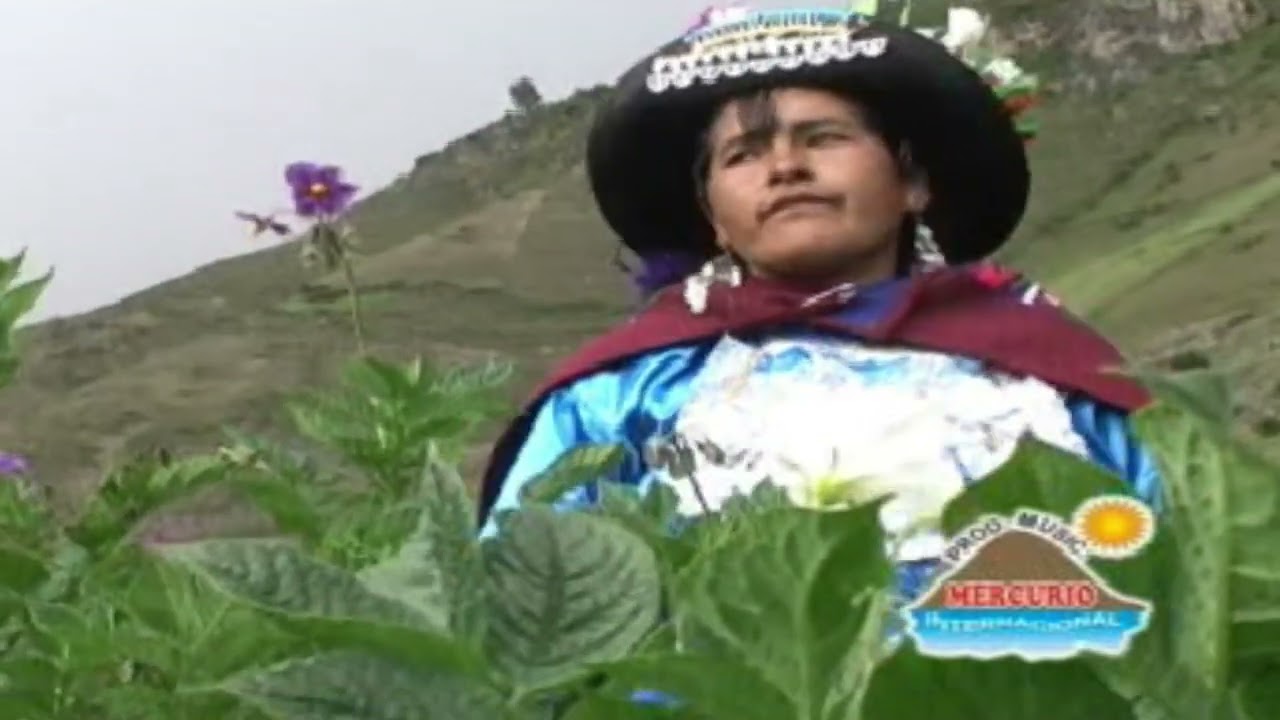 SOLEDAD DE TINQUER CCASA (PALOMA)