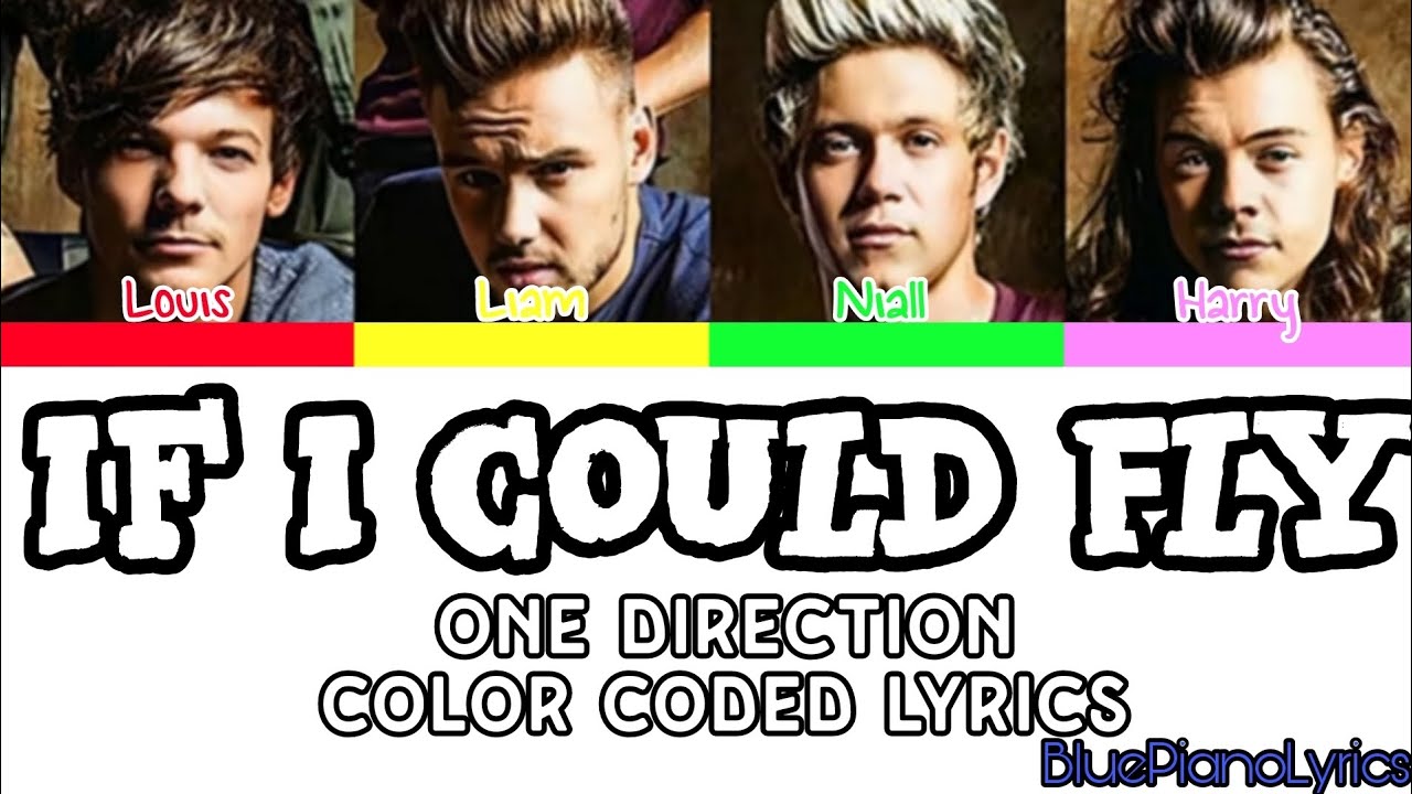 One Direction 'If I Could Fly' Lyrics (Color Coded Lyrics)