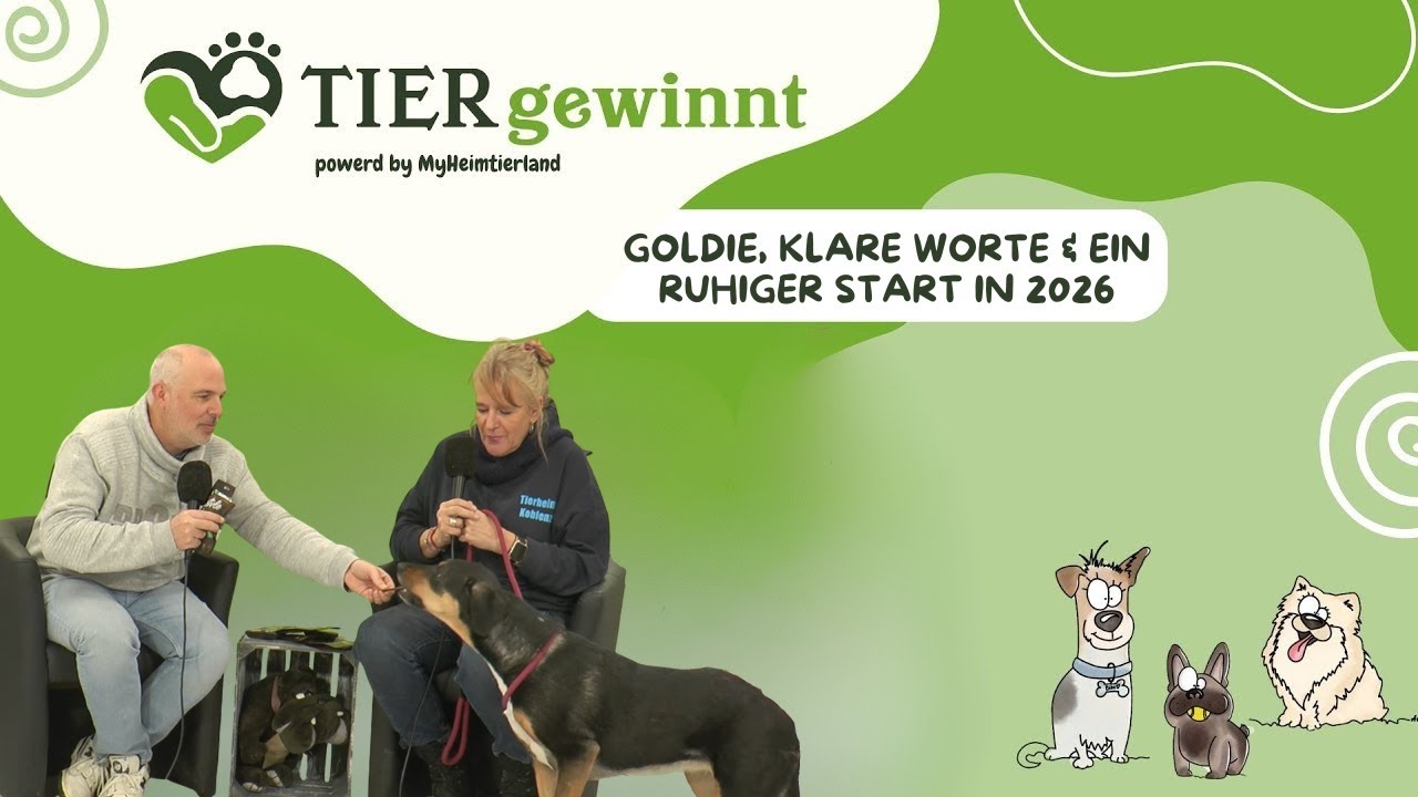(Folge 121) – Goldie, klare Worte & ein ruhiger Start in 2026