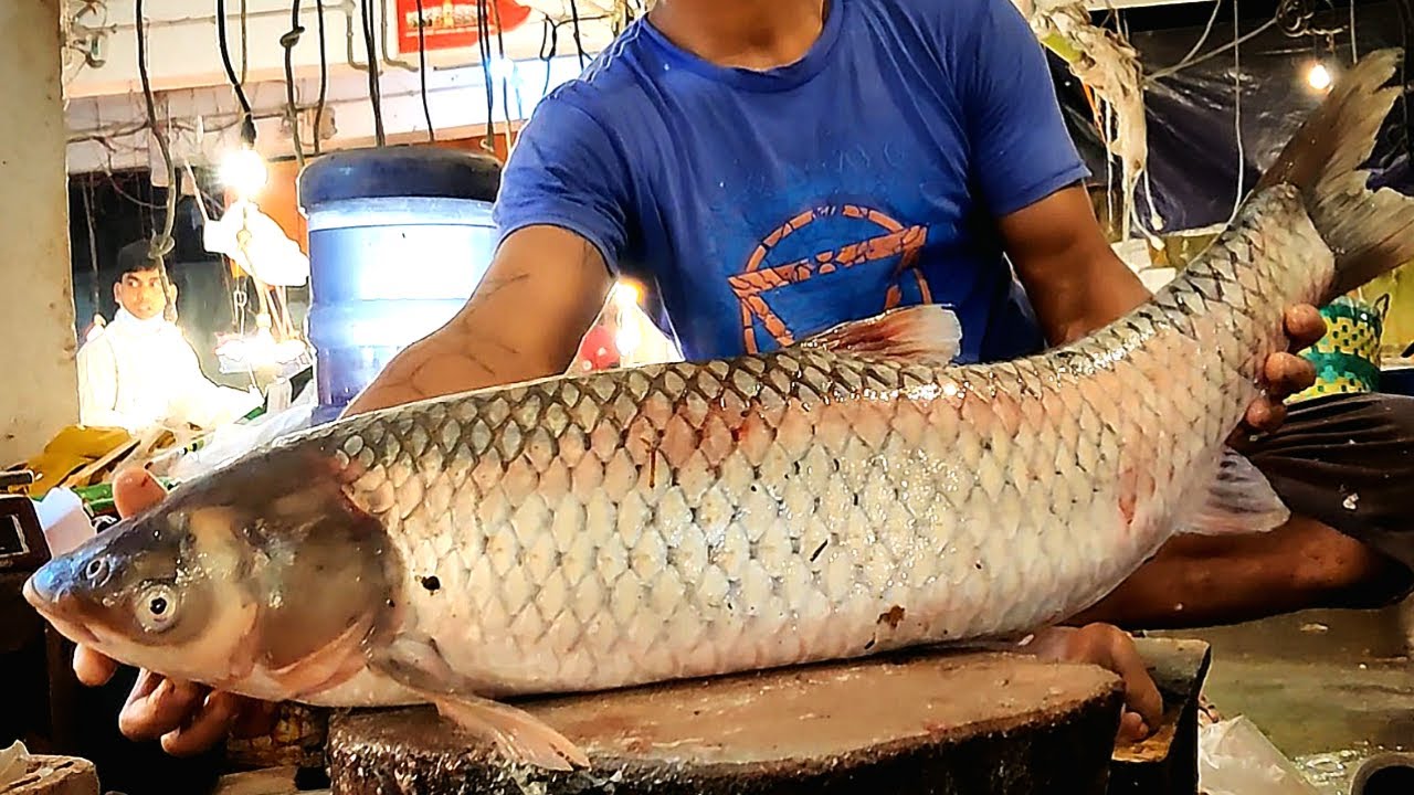Amazing Cutting Skills | Giant Carp Fish Cutting In Bangladesh Fish Market