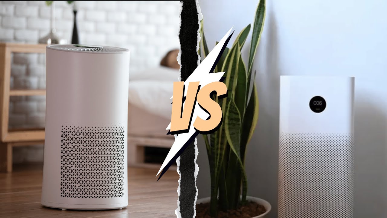 Ionizer Vs Air Purifier: Clearing the Confusion Once & For All!