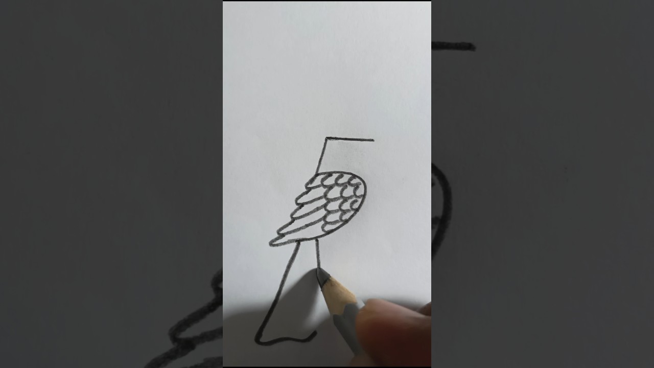 Easy Bird Drawing with pencil #birdart #viral