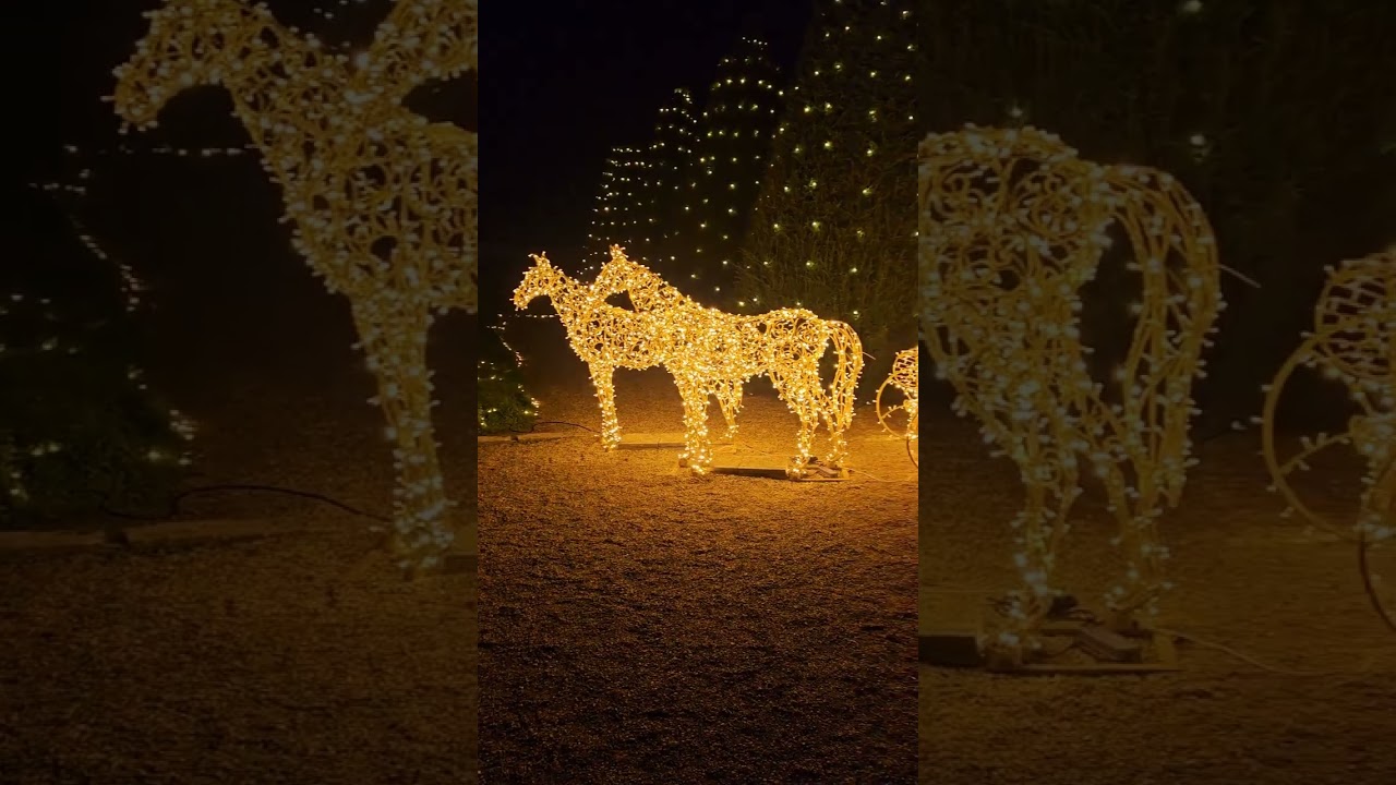 Lumi&egrave;res en Seine &agrave; Saint-Cloud : un spectacle immersif et f&eacute;erique