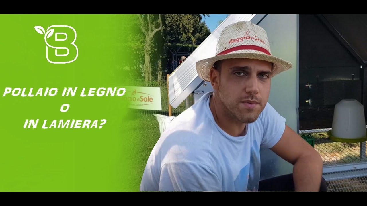 MEGLIO UN POLLAIO IN LEGNO O IN LAMIERA? | Rispondo dopo averli testati entrambi