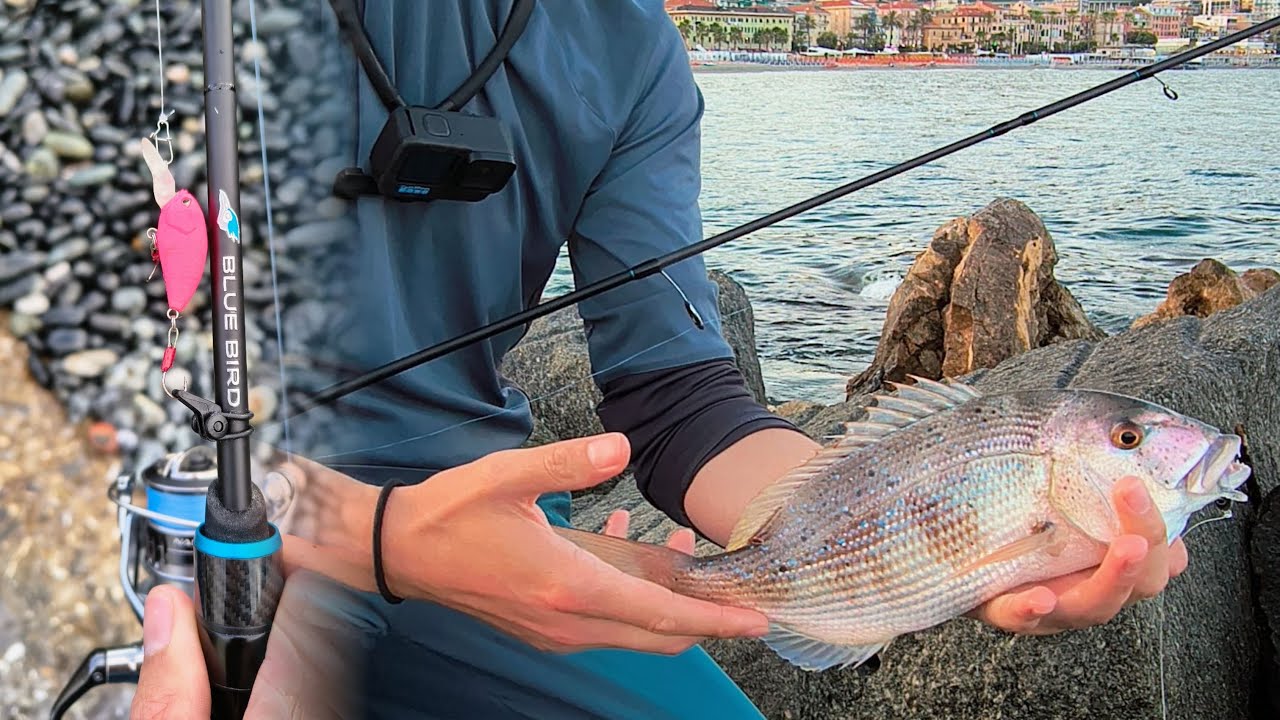 Per pescare a ultralight spinning 🎣 - GLI ARTIFICIALI - Parola d'ordine: colori naturali 1° PARTE