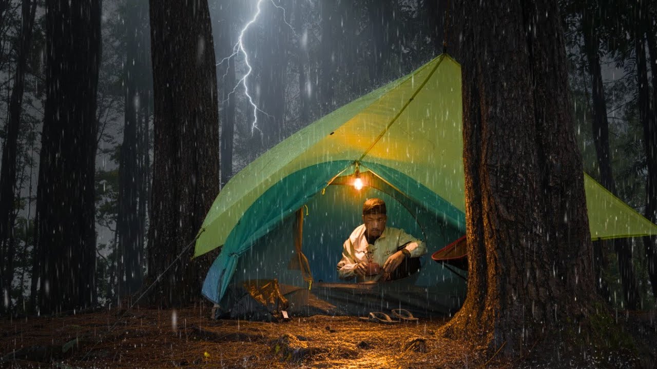 SOLO CAMPING IN  THE PINE FOREST AMBIENCE ‼️🌦 & BIRD SONGS | ASMR RELAXATION /SOFT RAIN CAMPING 