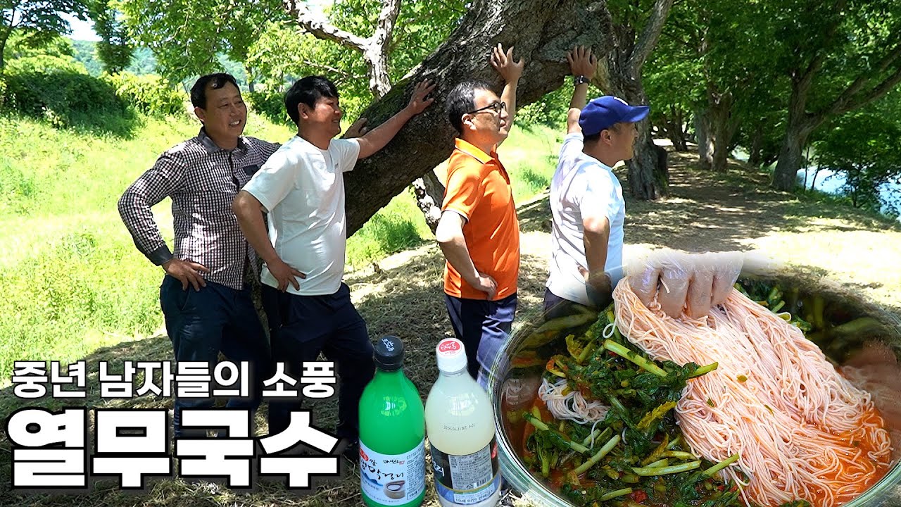 새콤한 열무국수에 시원한 막걸리 한사발 [Korean-style noodles and rice wine Mukbang]