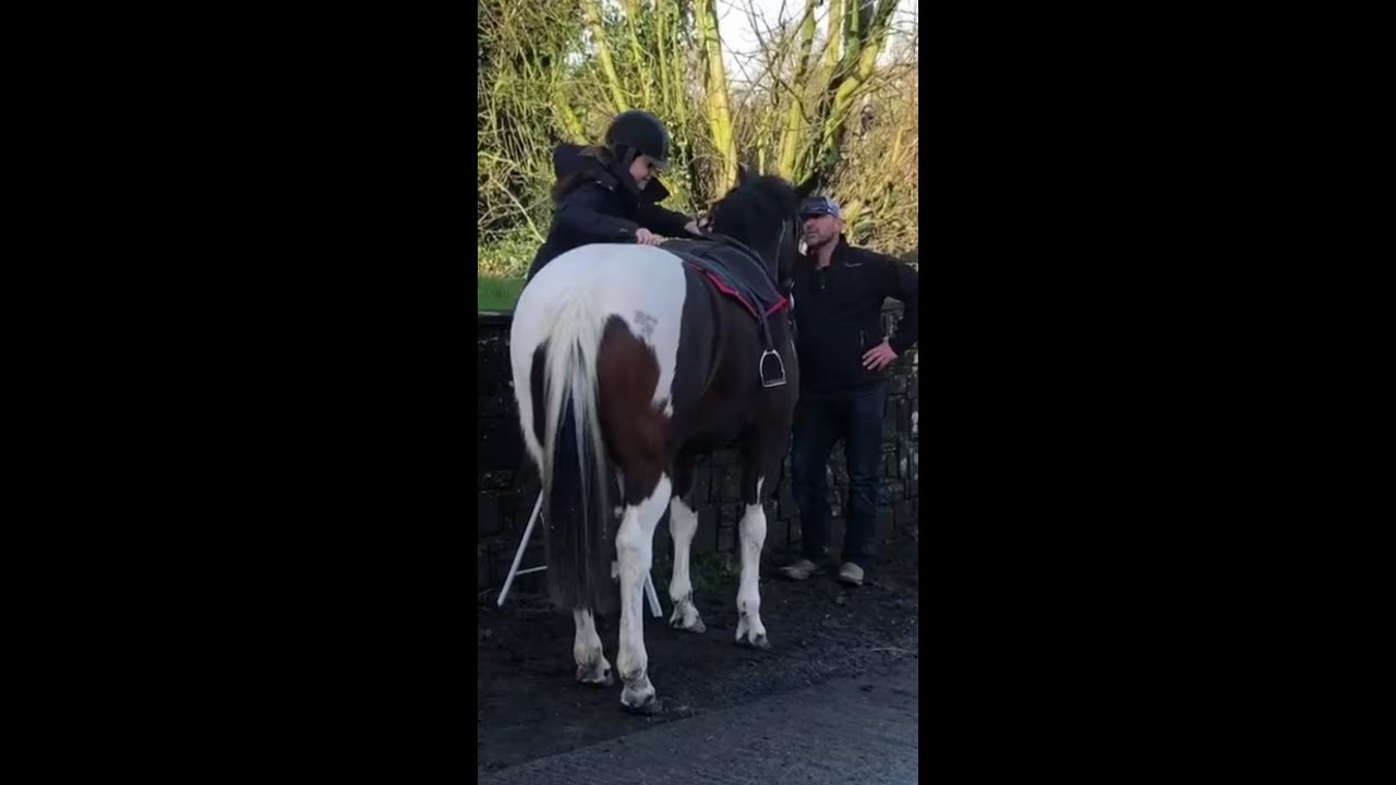 How to get a horse to stand still to mount