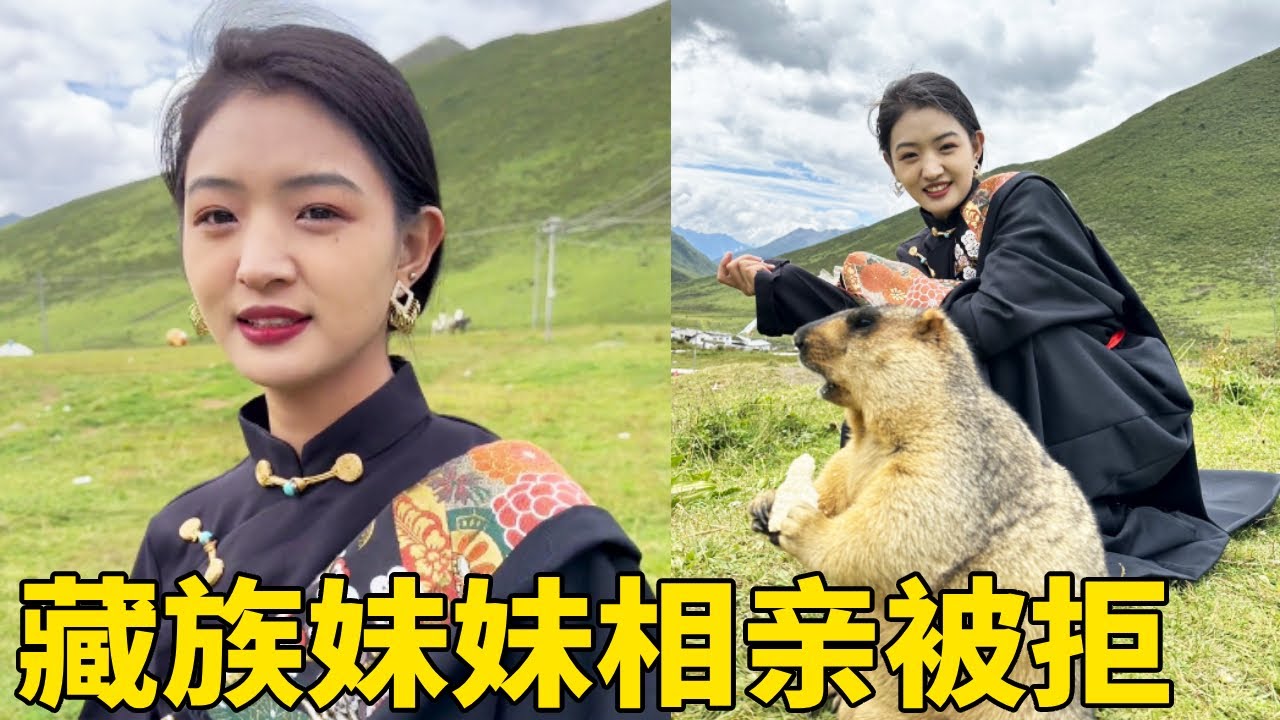 藏族妹妹相親被嫌陪嫁少，100多頭犛牛沒看上，感情生活太坎坷！【王一點】
