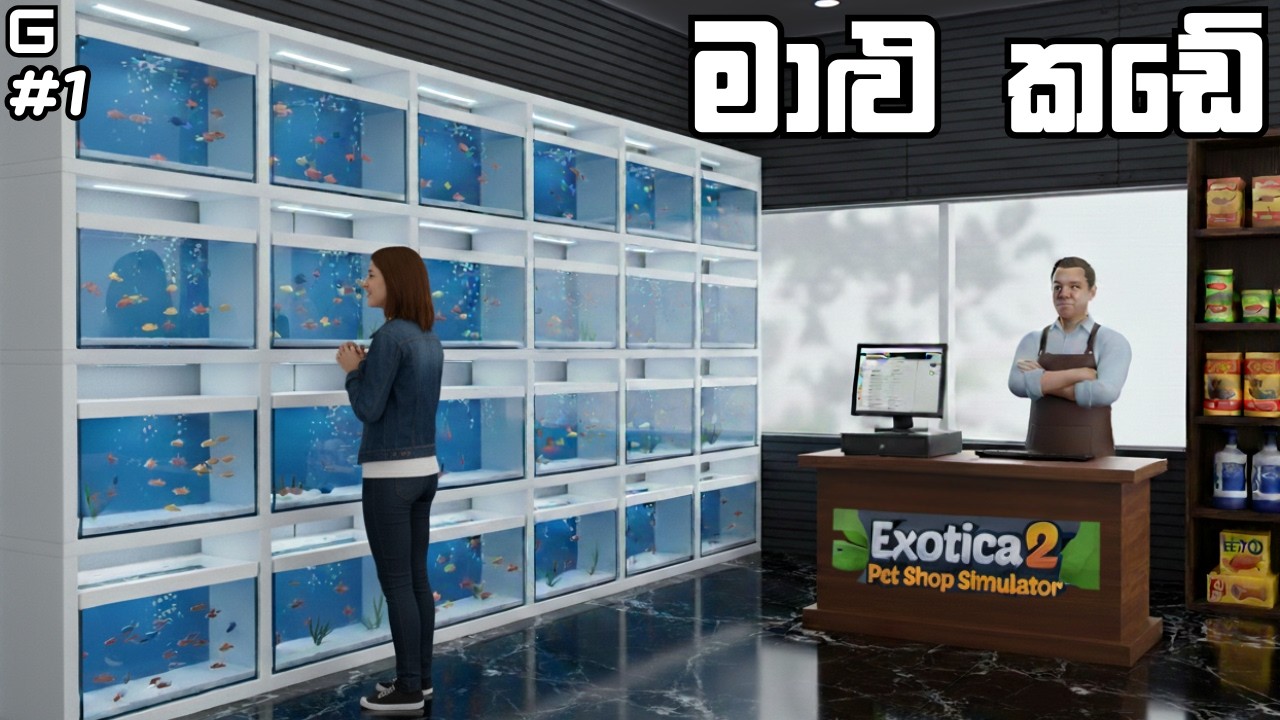 මාළු කඩේ | Exotica 2: Pet Shop Simulator - Sinhala Gameplay | #1