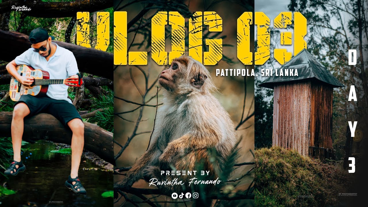 PATTIPOLA / ELLA SRI LANKA / PATTIPOLA TRAIN STAITION (DAY 03)#srilanka #pattipola #nandanasdiary