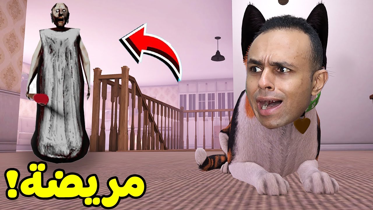 حياة القطة فى بيت جراني | Copycat !! 😺🏠
