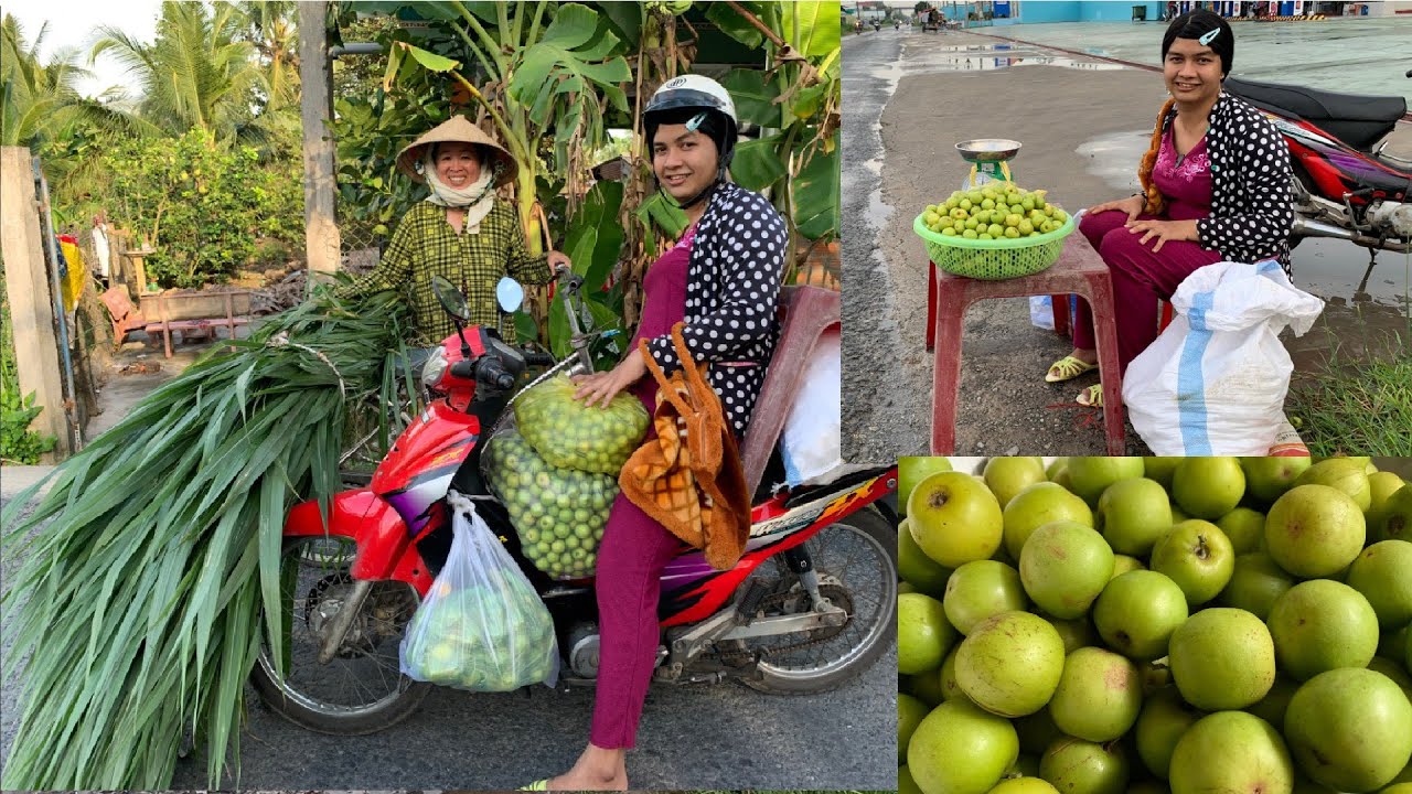 Con Liễu đi bán táo hồng dùm má chồng | Vợ thằng Sang Tập 1