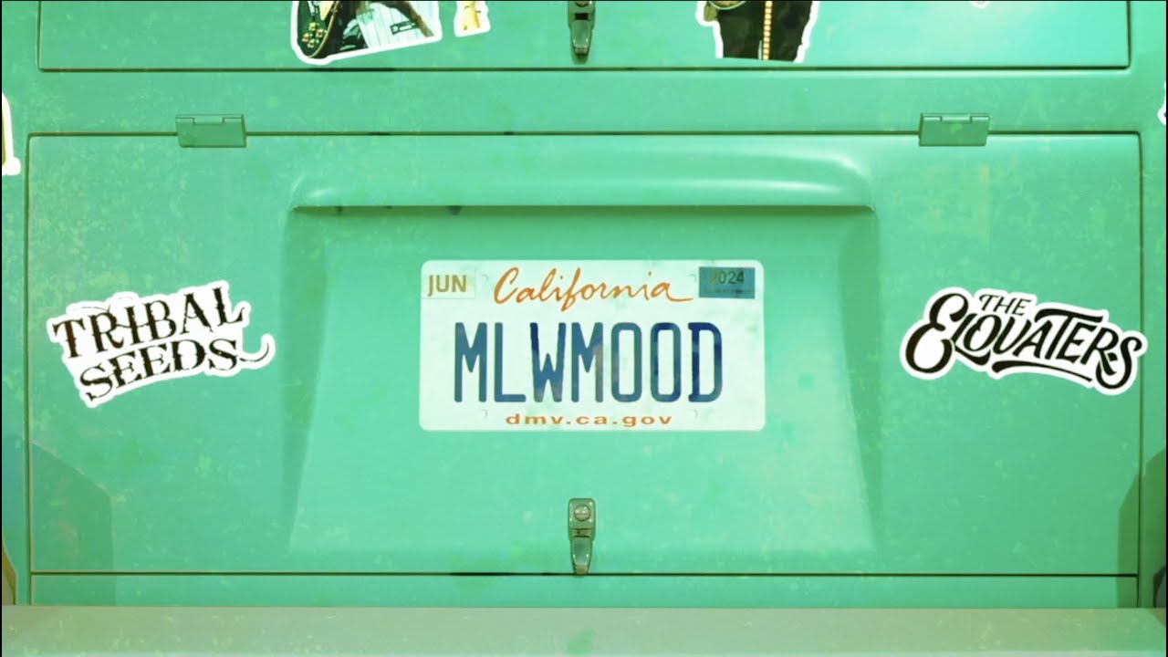 Tribal Seeds - Mellow Mood ft. The Elovaters (Official Lyric Video)