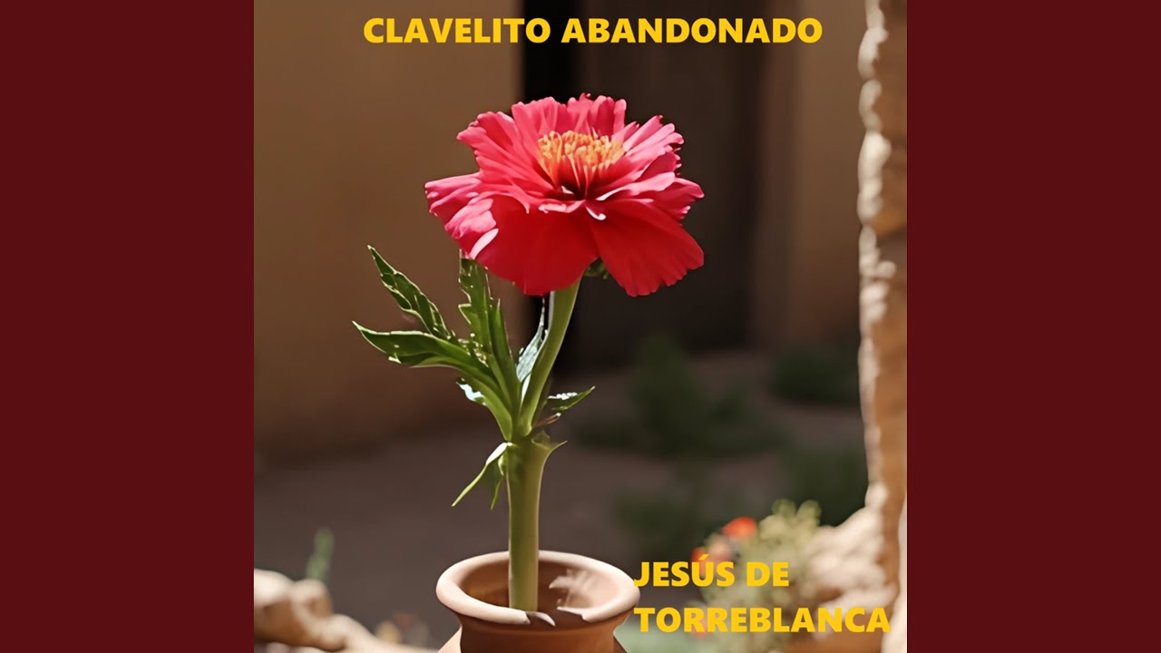 Clavelito Abandonado