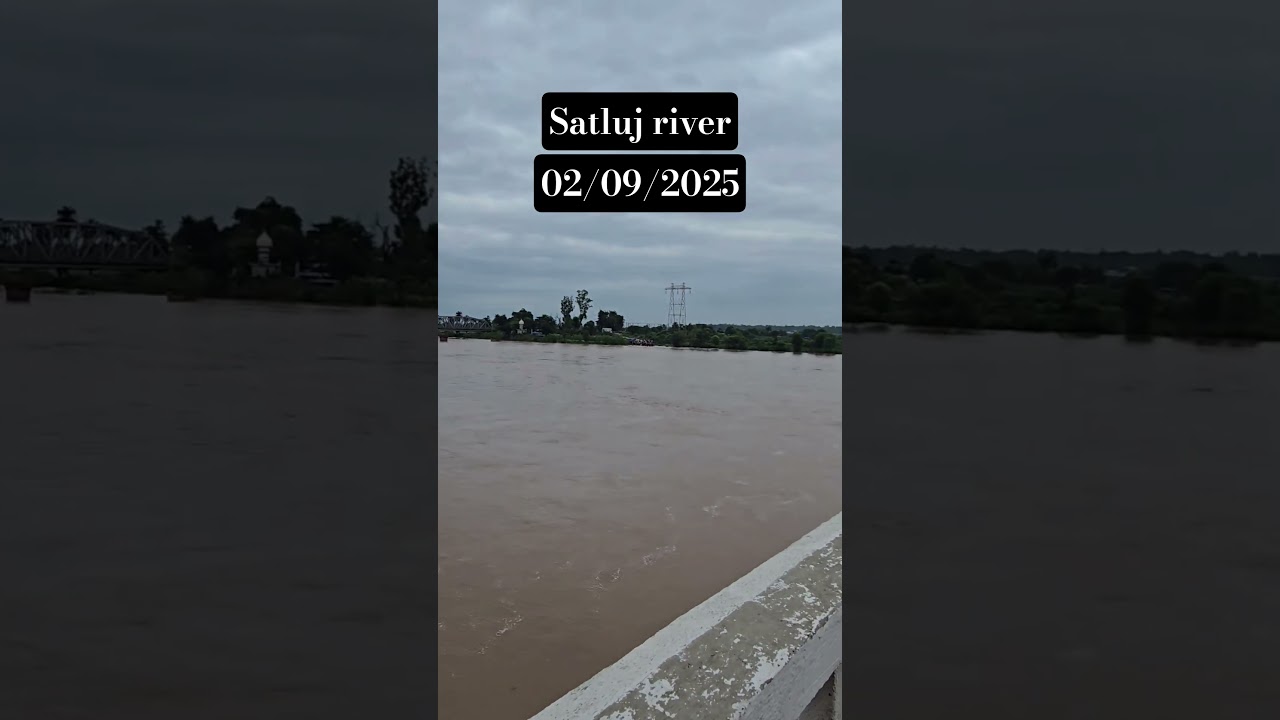 satluj river overflow #music #satluj #flood