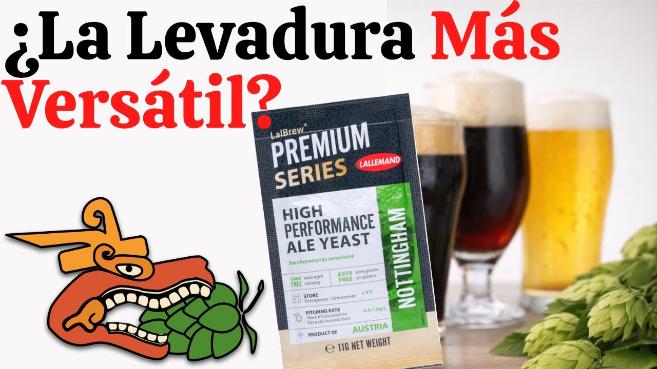 Nottingham Yeast: La Levadura Más Versátil para cerveza casera 🍺