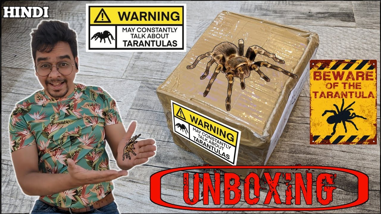 Unboxing My New Pet Tarantula | Unboxing Tarantula | Golden knee tarantula sling unboxing #petsshala