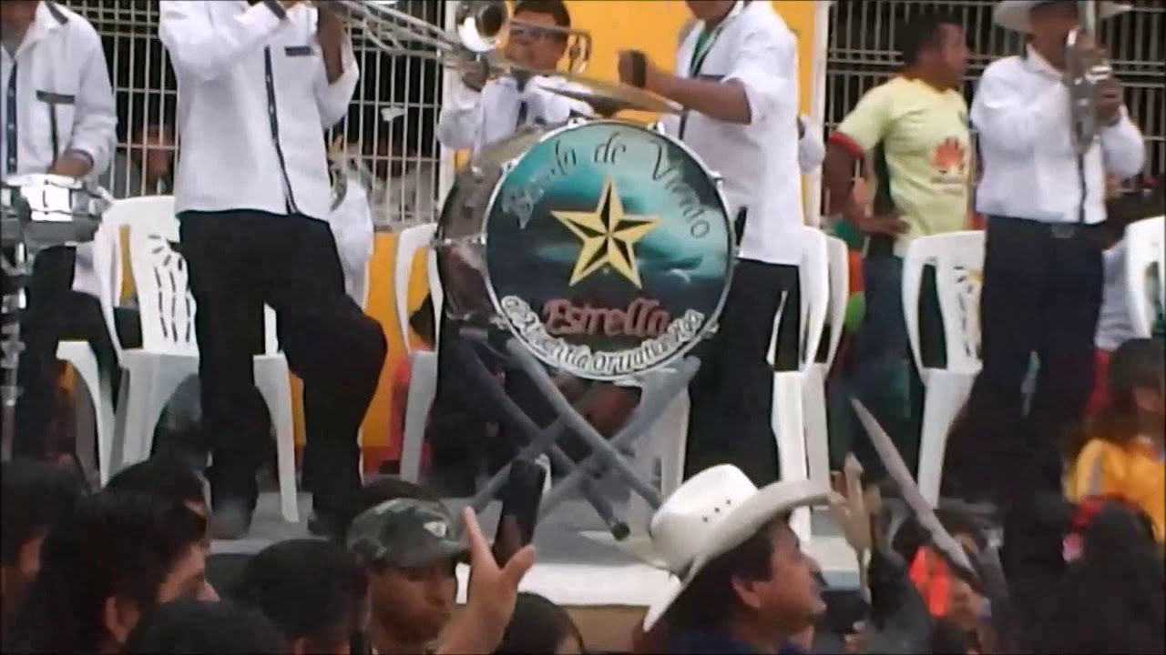 Carnaval E. Zapata, Alamo, ver. 2016 parte 2