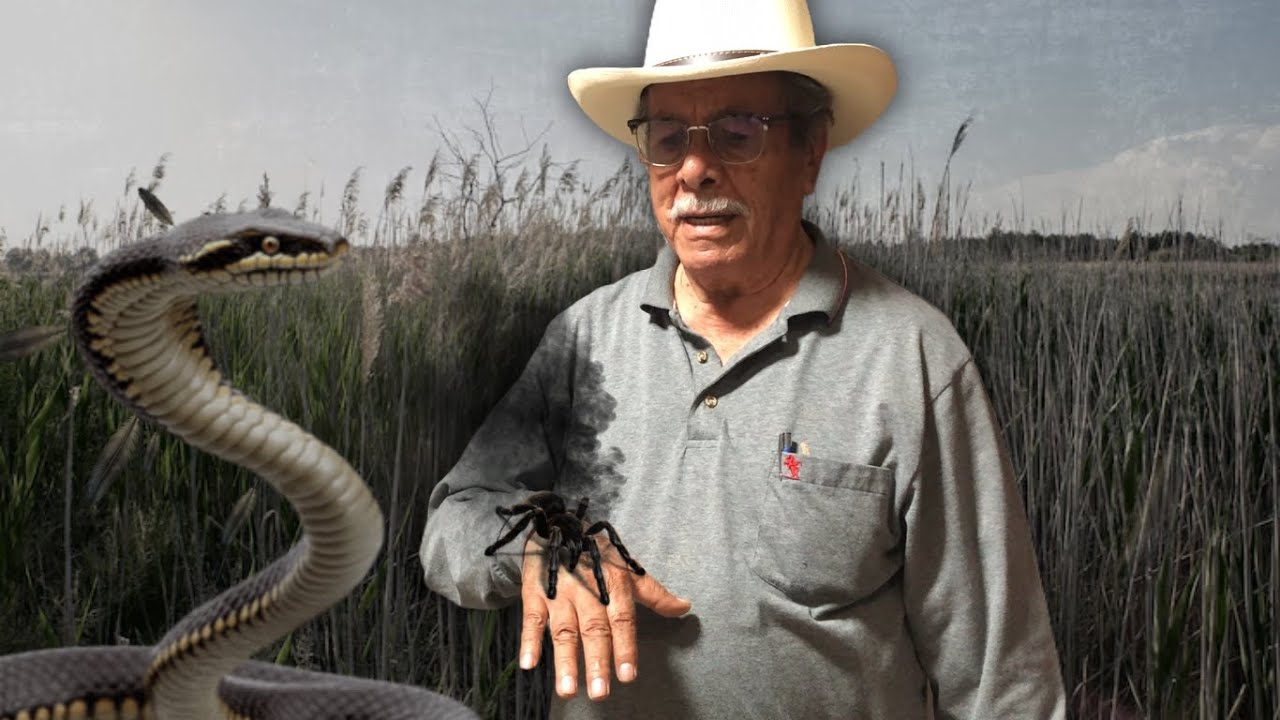 Animales Extra&ntilde;os que Vi en mi Rancho (CASOS REALES)