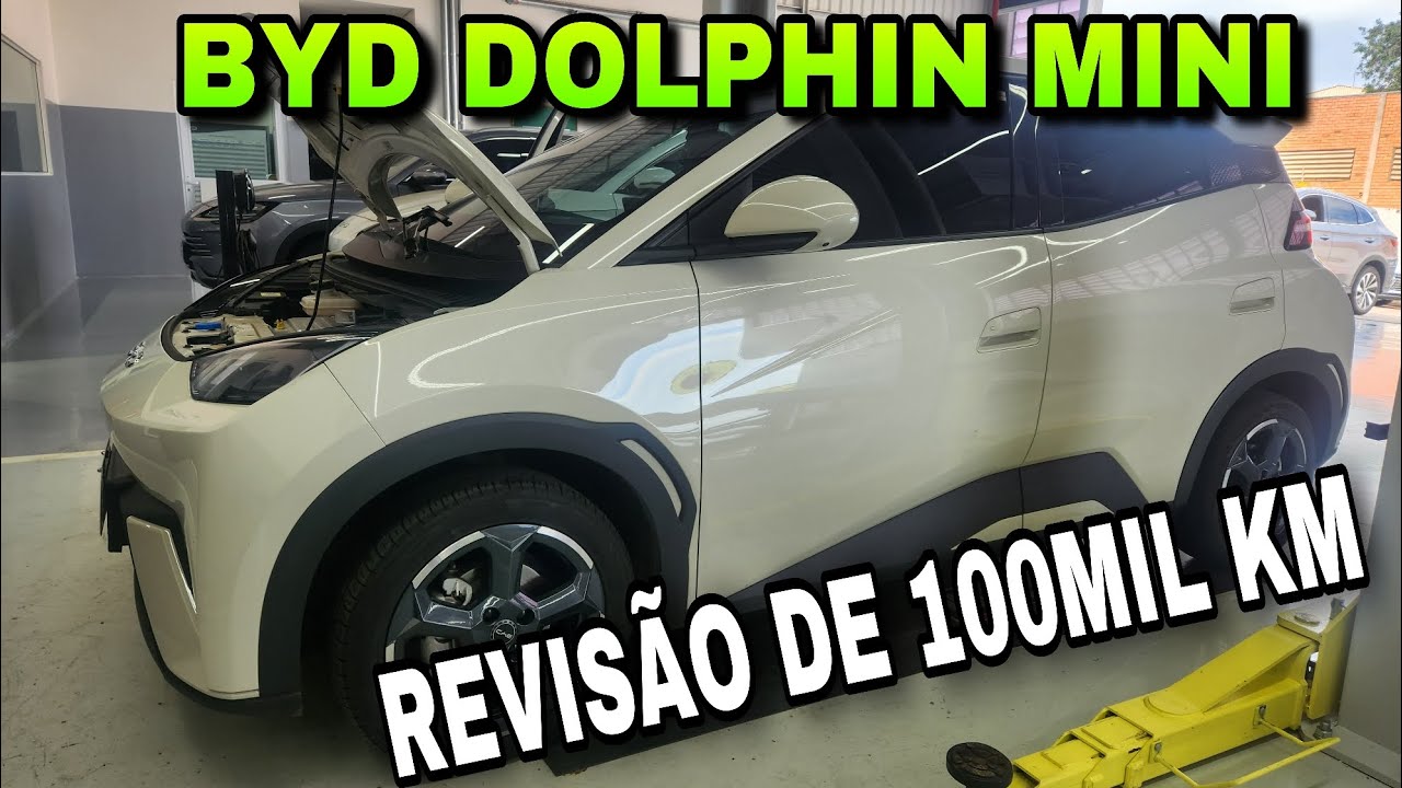 BYD DOLPHIN MINI 5° REVISÃO COM 100 MIL KM Vou Falar Tudo!!!