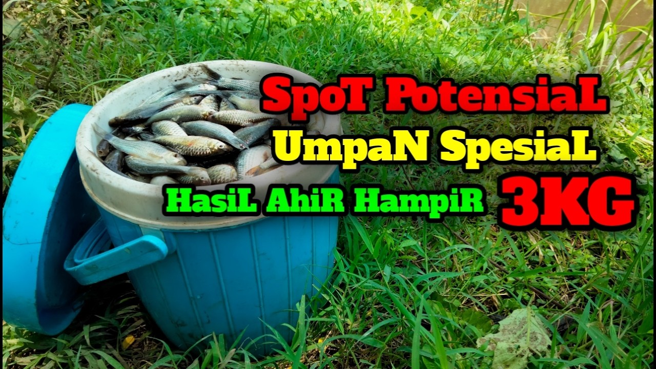 Hampir 3kg ikan wader+melem di spot tergacor 